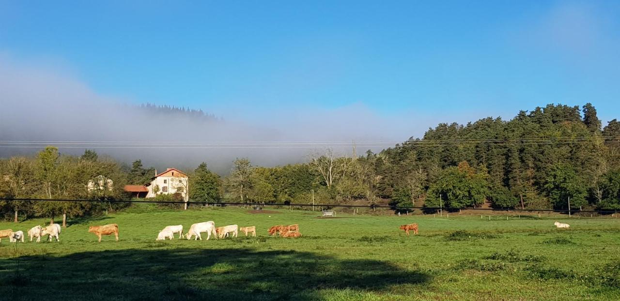 Le Riolet Bed & Breakfast Marsac-en-Livradois Bagian luar foto